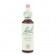 Loacker Fiori di Bach originali Olive gocce orali omeopatiche (20 ml)