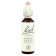 Loacker Fiori di Bach originali Water Violet gocce orali omeopatiche (20 ml)