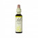 Fiori di Bach originali Olive gocce orali omeopatiche (20 ml)